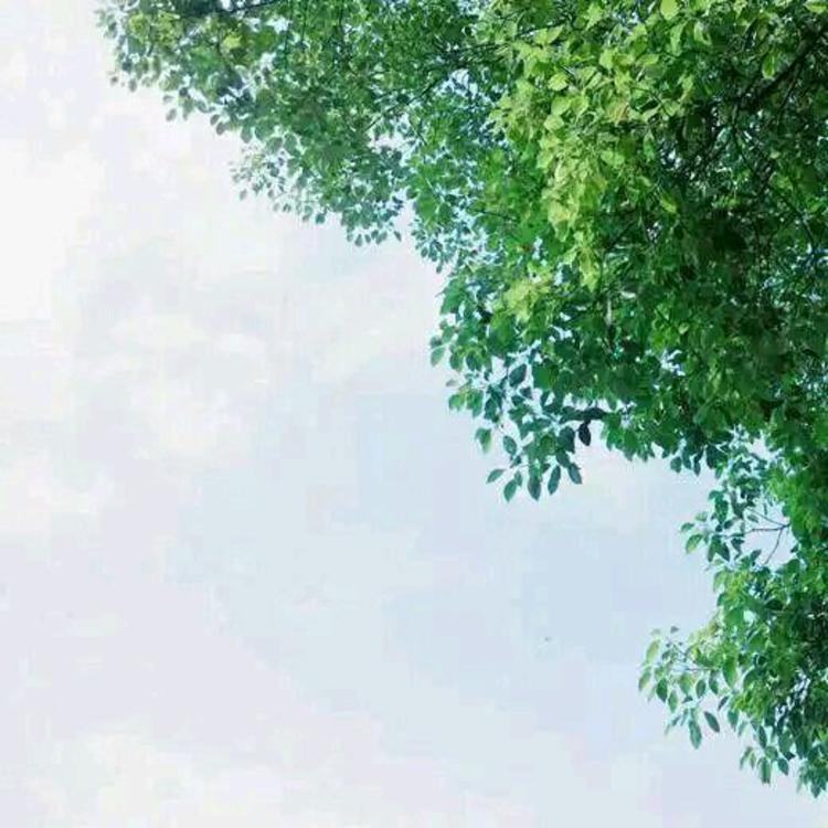 武井咲（饰 神谷熏） - 影视解说合集在线观看 - 手机看视频